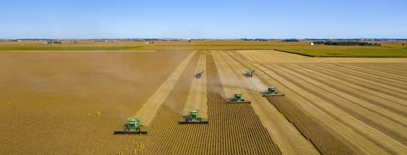 Combines harvesting field